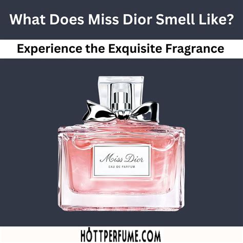 best dior perfumes|what does miss Dior smell like.